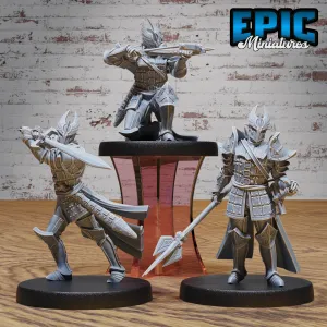 Platinum Paladin #4893-#4895 by Epic Miniatures | D&D Tabletop Miniatures